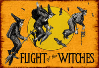 Flight Of The Witches - 2086C