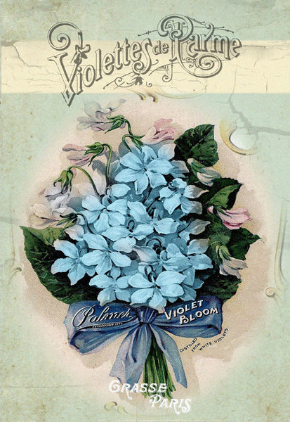Blue Violet Blooms - 2348