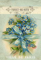 Forget Me Nots - 2349