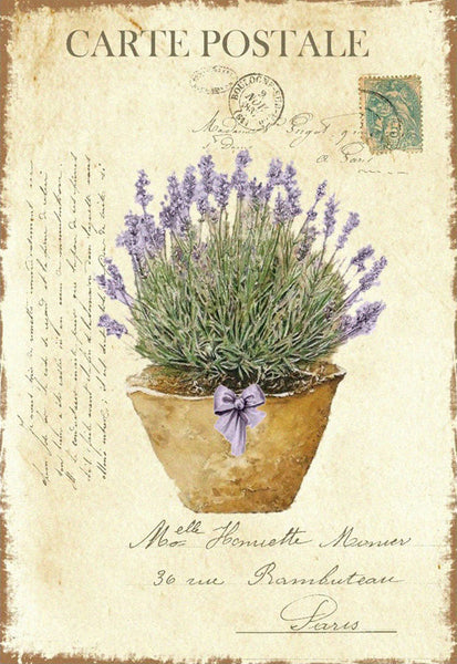 Lavender Carte - 2351