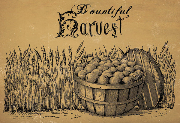 Bountiful Harvest - 2618