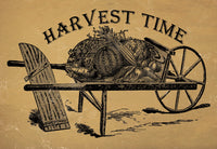 Harvest Time - 2625