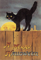 Halloween Cat On Fence - 2696