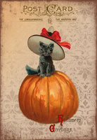 Cat With Witch Hat - 2725