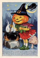 Pumpkin Witch - 2764