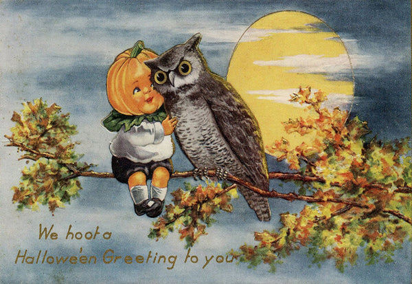 Halloween Hoot - 2775