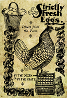 Fresh Eggs - 3152