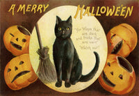 Halloween Cat - 3156