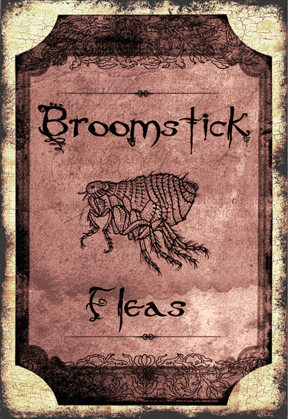 Broomstick Fleas - 3168