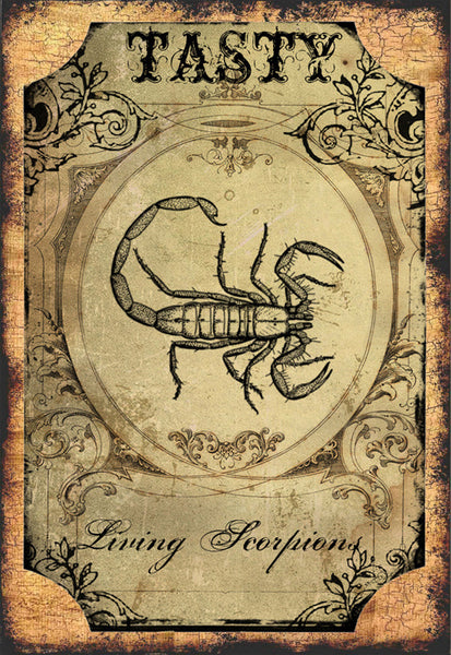 Scorpions - 3177