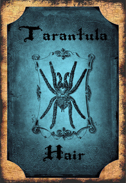 Tarantula Hair - 3180