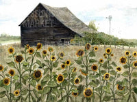 Sunflowers - 3523