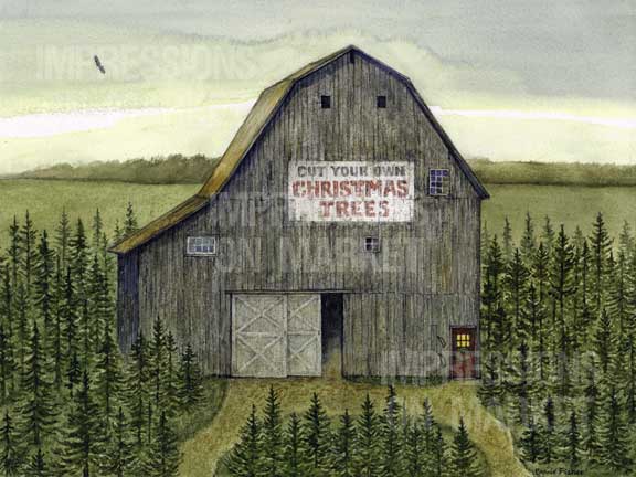 Christmas Tree Barn - 3585