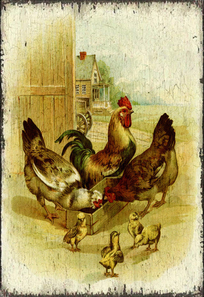 Barnyard Chickens - 4211
