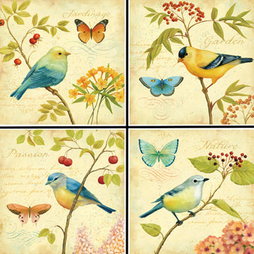 Birds & Berries Coaster Set - 42142CS