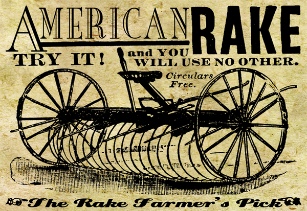 American Rake - 4262