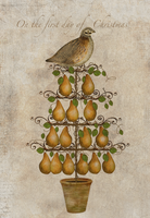 Partridge Pear Tree - 4439