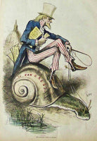 Congress Snail - 4801