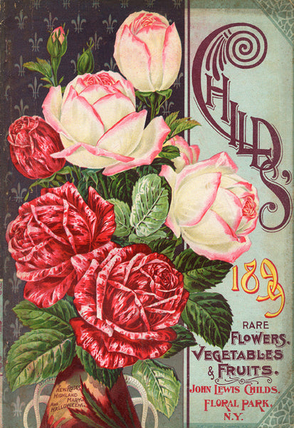 Childs 1899 Rose - 5139