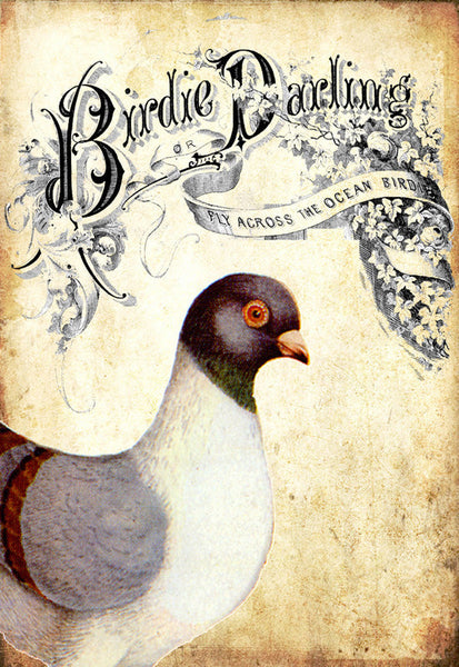 Birdie Darling Carrier Pigeon - 5191