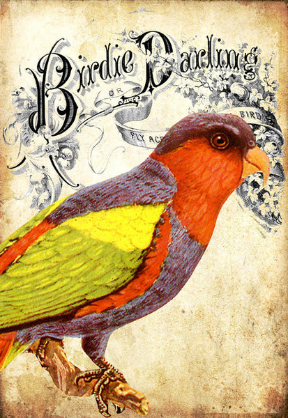 Birdie Darling Parrot - 5195