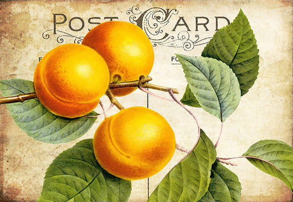 Peaches Postcard - 5411