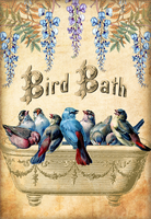 Bird Bath - 5531