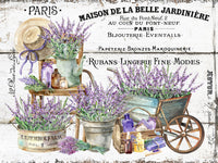 French Lavender - 5623