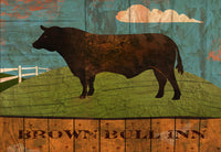 Brown Bull Inn - 6150