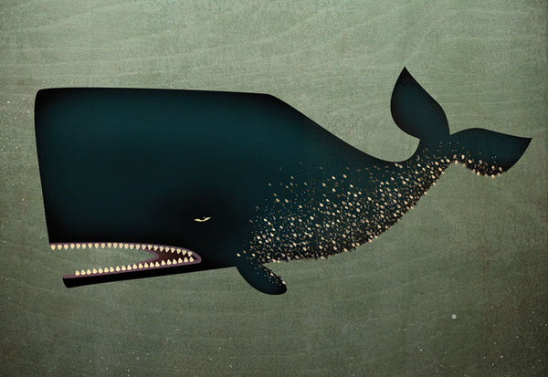 Barnacle Whale - 6367