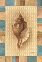 Conch Shell - 6369