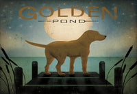 Golden Pond - 6380