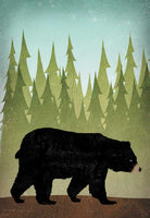 Bear In Woods - 6393