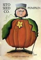 Sito Pumpkin - 7322