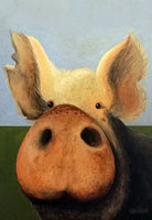 Pig - 7348