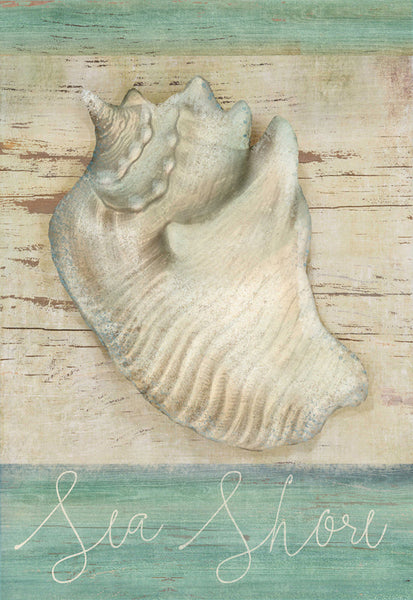 Seashore Conch - 7702