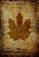 Maple Antique Leaf - 7735