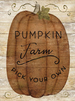 Pumpkin Farm - 7890