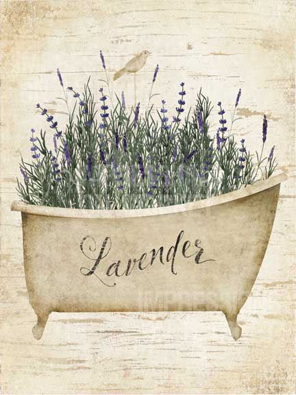Lavender Tub White - 7940