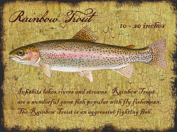 Rainbow Trout - 4476B