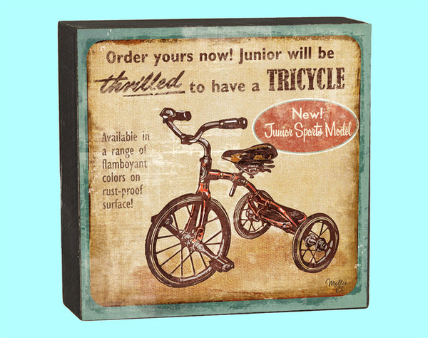 Tricycle  Box - 18055