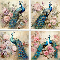 Floral Peacocks Coaster Set - 42165CS