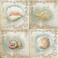 Surf Shells Seashore - 7715Q