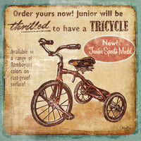 Tricycle - 8055Q